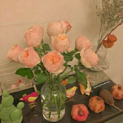 米乐下载地址手机app下载